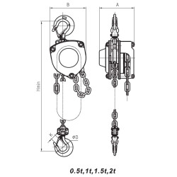 Cardon 2 Tonne Chain Hoist