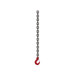 Chain Tie Down with Load Binder